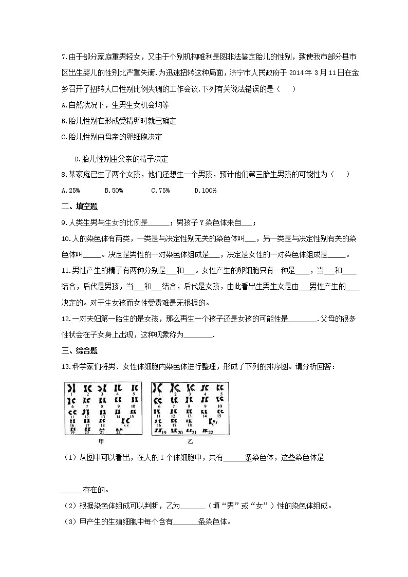 7.2.4 人的性别遗传（课件+教案+练习+导学案）02