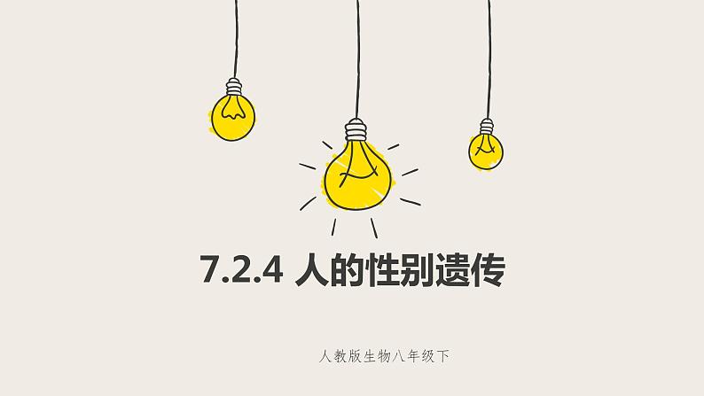 7.2.4 人的性别遗传（课件+教案+练习+导学案）01