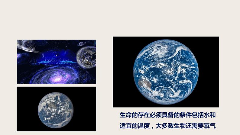 7.3.1 地球上生命的起源（课件+教案+练习+导学案）03