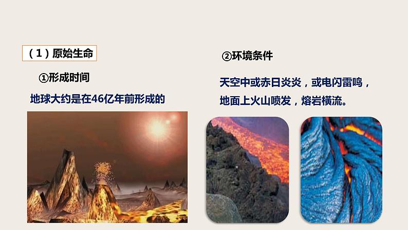 7.3.1 地球上生命的起源（课件+教案+练习+导学案）07