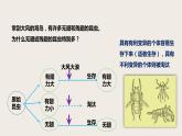 7.3.3 生物进化的原因（课件+教案+练习+导学案）