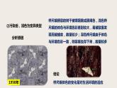7.3.3 生物进化的原因（课件+教案+练习+导学案）