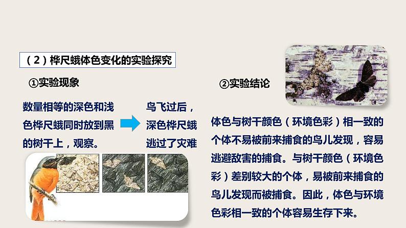 7.3.3 生物进化的原因（课件+教案+练习+导学案）06