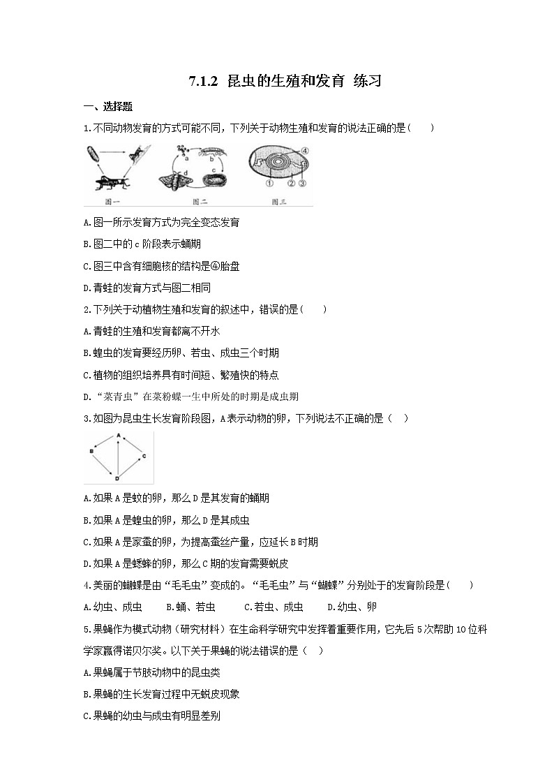7.1.2 昆虫的生殖和发育 练习第1页