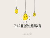 7.1.2 昆虫的生殖和发育（课件+教案+练习+导学案）