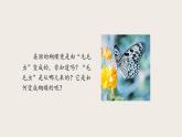 7.1.2 昆虫的生殖和发育（课件+教案+练习+导学案）