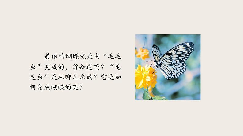 7.1.2 昆虫的生殖和发育 课件第4页