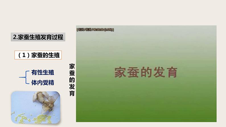7.1.2 昆虫的生殖和发育 课件第7页