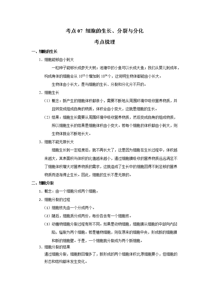 考点07 细胞的生长、分裂与分化（解析版）-2022年生物中考一轮过关讲练（人教版）第1页