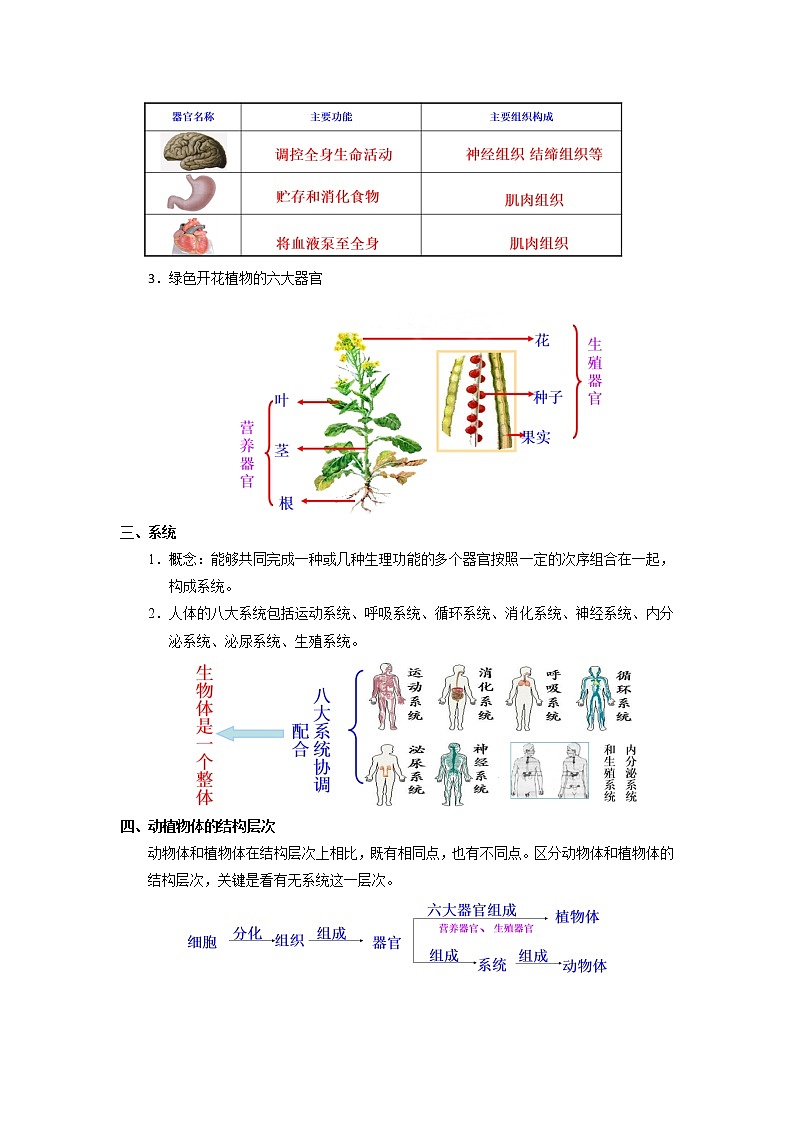 考点08 动植物体的结构层次（解析版）-2022年生物中考一轮过关讲练（人教版）第2页