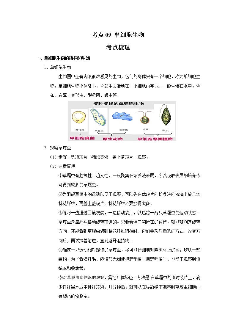 考点09 单细胞生物（解析版）-2022年生物中考一轮过关讲练（人教版）第1页