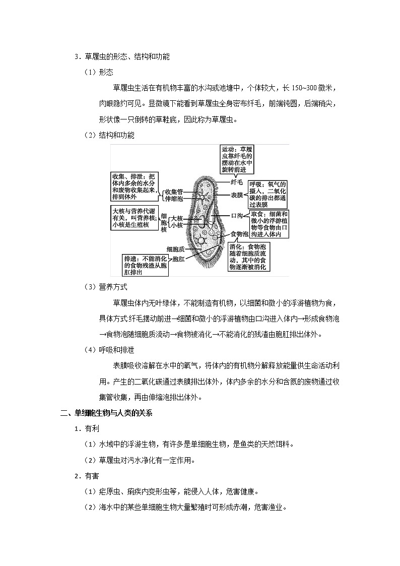考点09 单细胞生物（解析版）-2022年生物中考一轮过关讲练（人教版）第2页