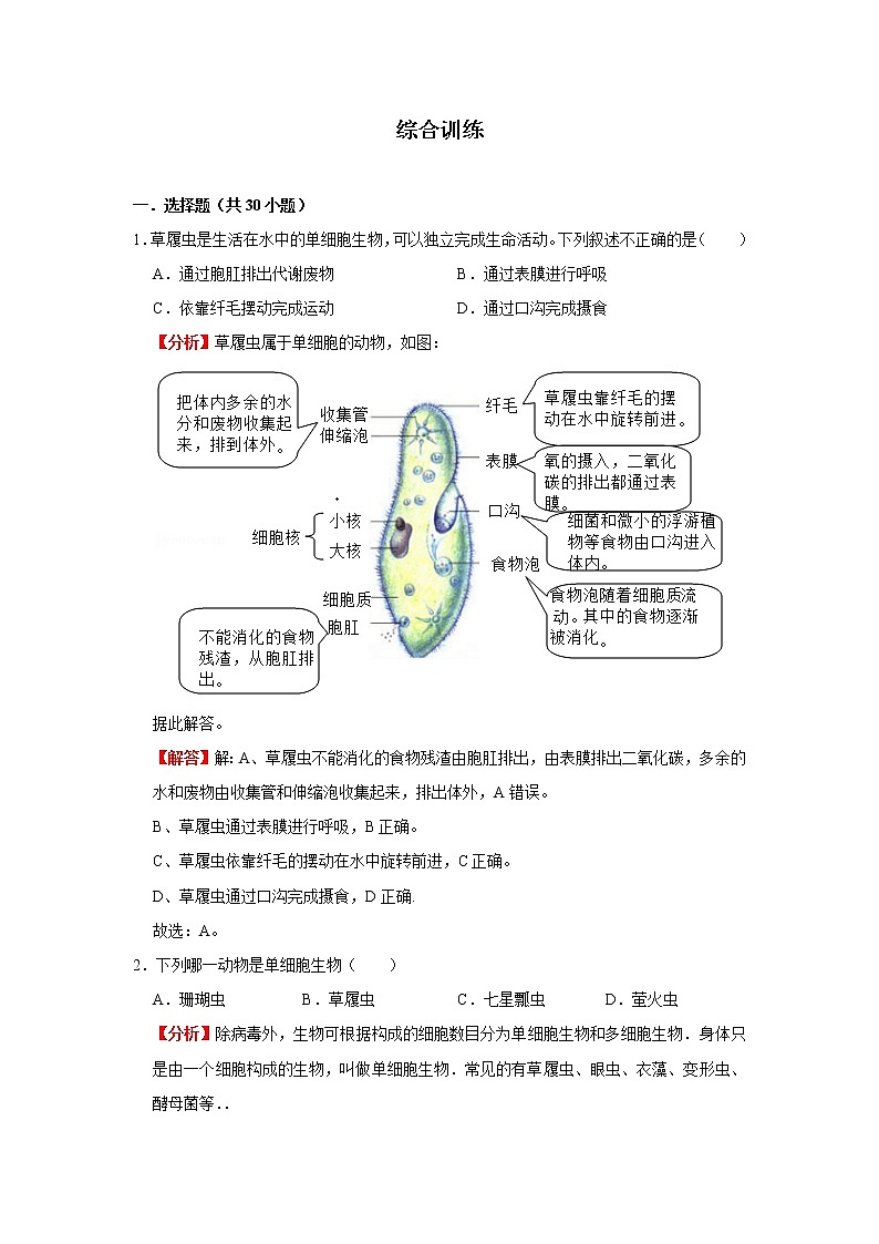考点09 单细胞生物（解析版）-2022年生物中考一轮过关讲练（人教版）第3页