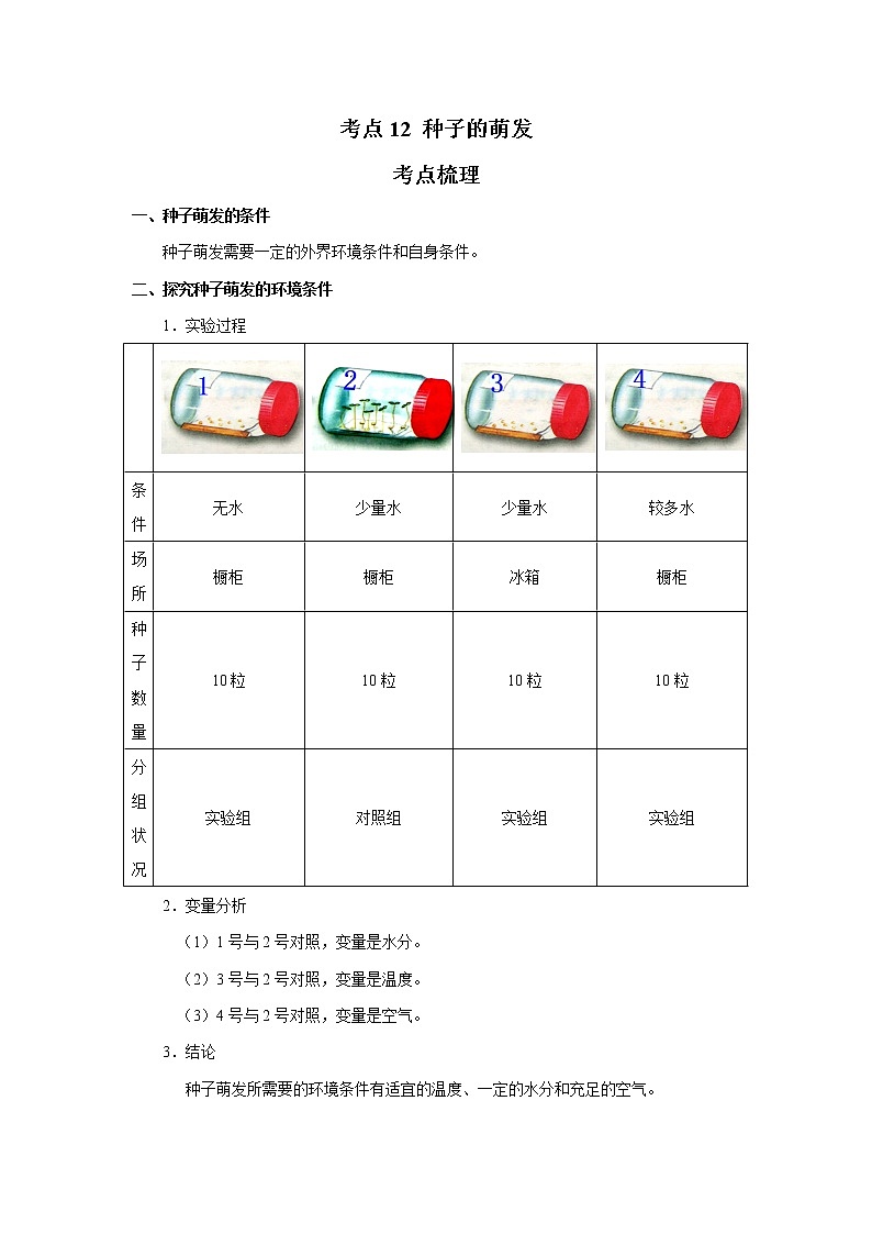 考点12 种子的萌发（解析版）-2022年生物中考一轮过关讲练（人教版）第1页