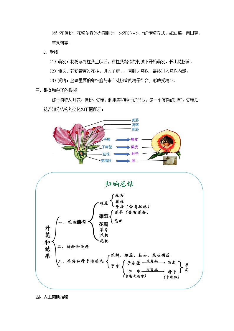 考点14 开花和结果（解析版）-2022年生物中考一轮过关讲练（人教版）第2页