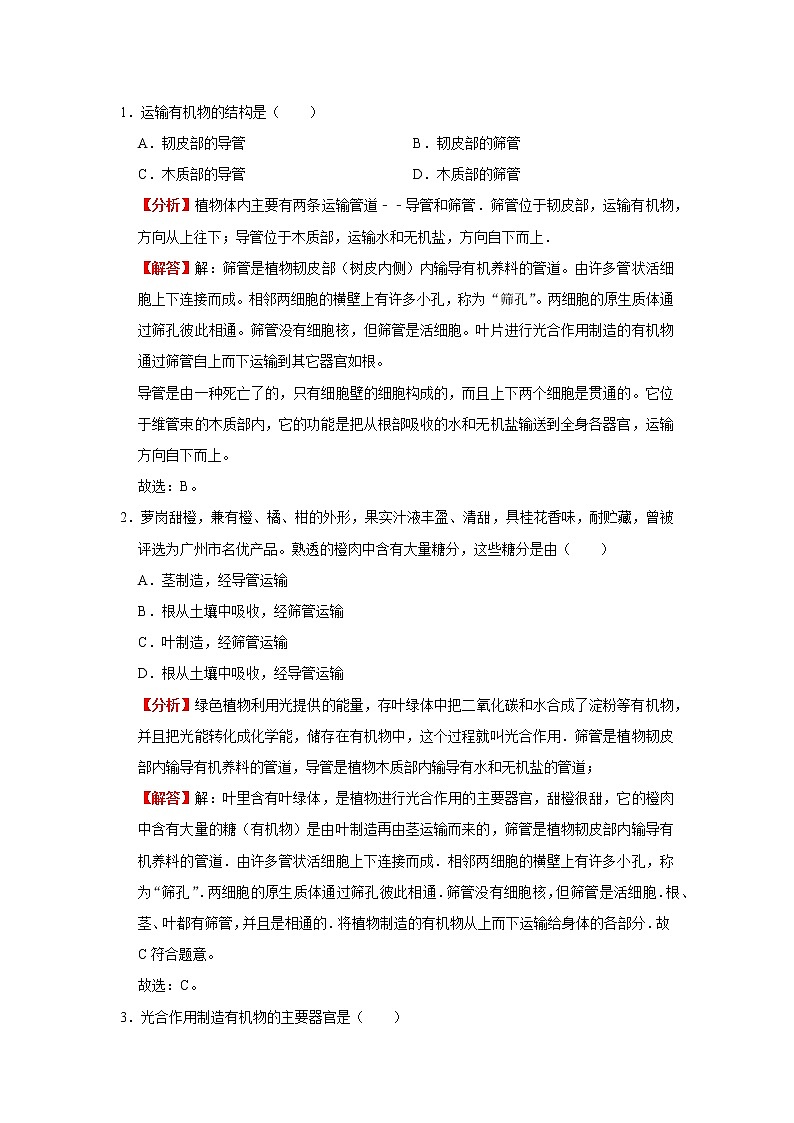 考点16 植物的光合作用（解析版）-2022年生物中考一轮过关讲练（人教版）第3页