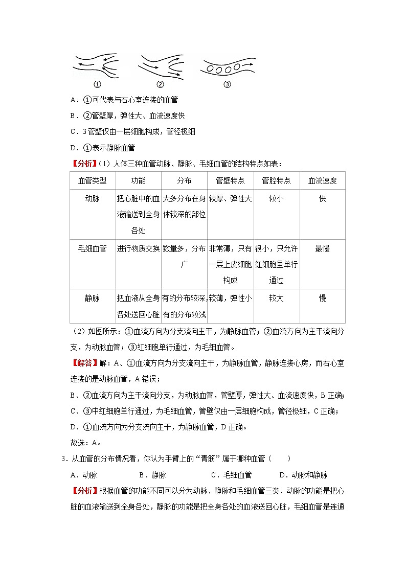 考点23 血管（解析版）-2022年生物中考一轮过关讲练（人教版）第3页