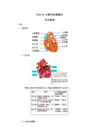 考点24 心脏和血液循环（解析版）-2022年生物中考一轮过关讲练（人教版）