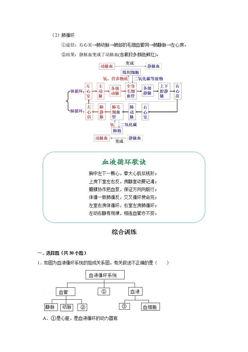 考点24 心脏和血液循环（解析版）-2022年生物中考一轮过关讲练（人教版）第3页
