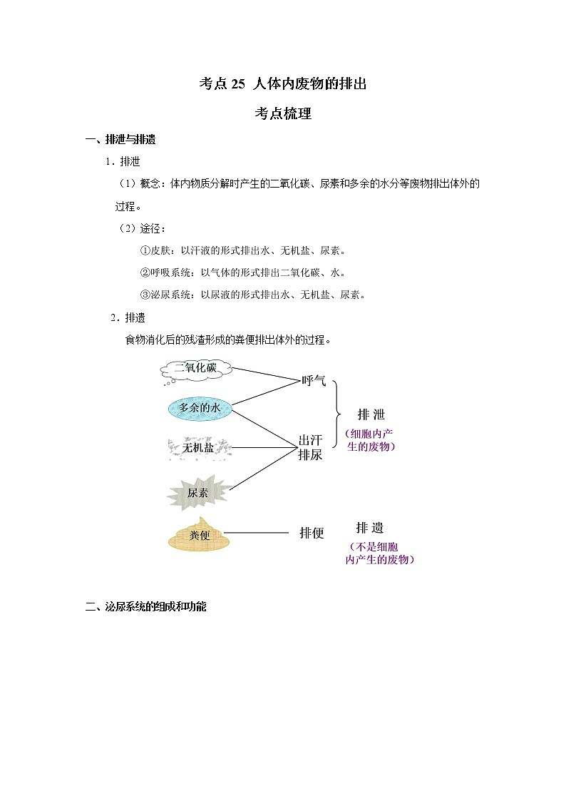 考点25 人体内废物的排出（解析版）-2022年生物中考一轮过关讲练（人教版）第1页