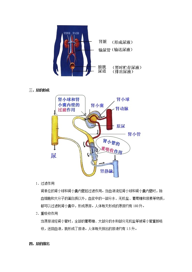 考点25 人体内废物的排出（解析版）-2022年生物中考一轮过关讲练（人教版）第2页