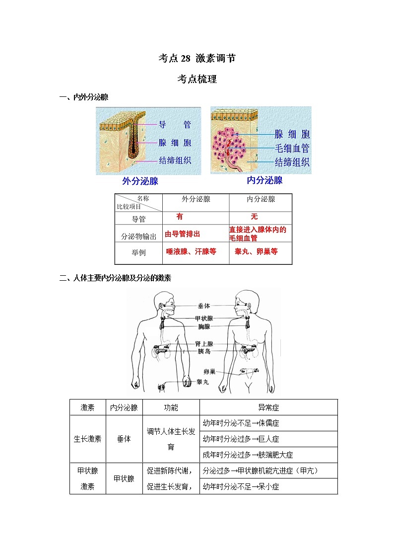 考点28 激素调节（解析版）-2022年生物中考一轮过关讲练（人教版）第1页
