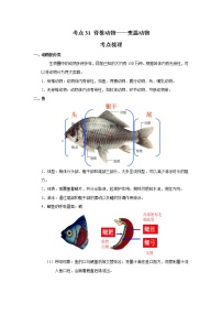 考点31 脊椎动物——变温动物（解析版）-2022年生物中考一轮过关讲练（人教版）