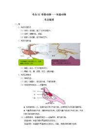 考点32 脊椎动物——恒温动物（解析版）-2022年生物中考一轮过关讲练（人教版）