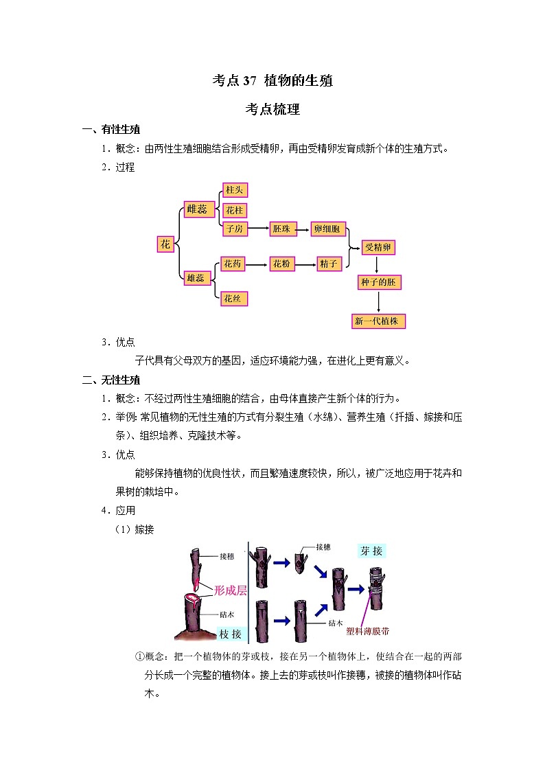 考点37 植物的生殖（解析版）-2022年生物中考一轮过关讲练（人教版）第1页