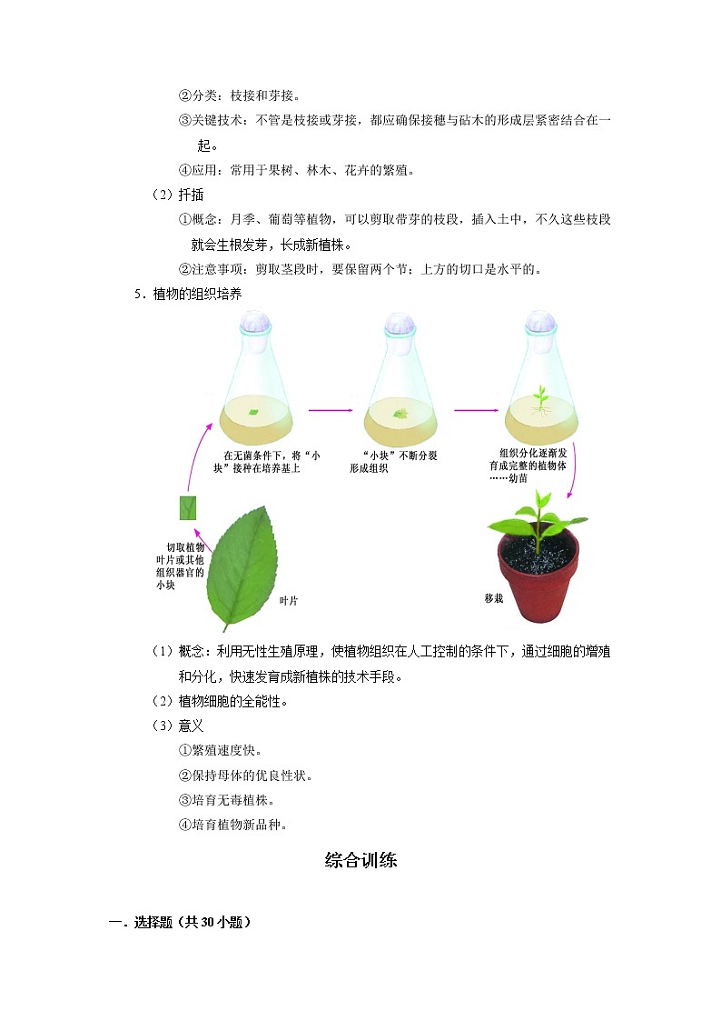 考点37 植物的生殖（解析版）-2022年生物中考一轮过关讲练（人教版）第2页