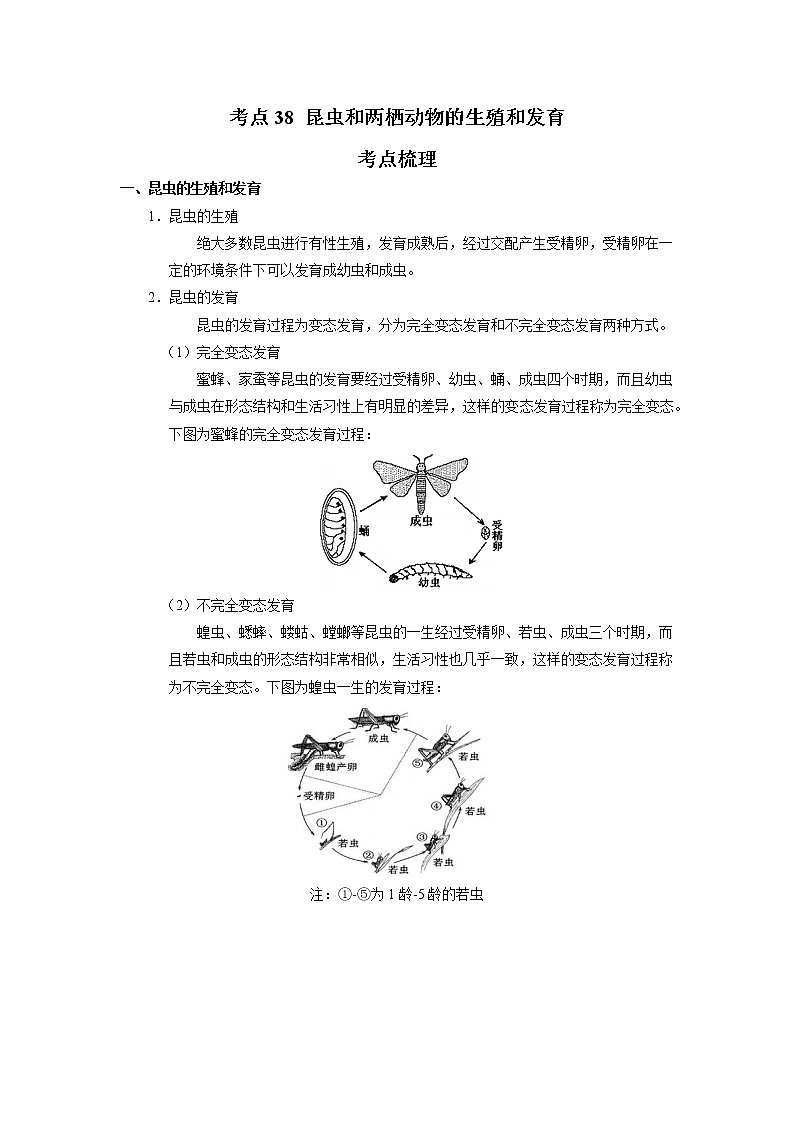 考点38 昆虫和两栖动物的生殖和发育（解析版）-2022年生物中考一轮过关讲练（人教版）01