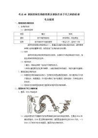 考点40 基因控制生物的性状及基因在亲子代之间的传递（解析版）-2022年生物中考一轮过关讲练（人教版）