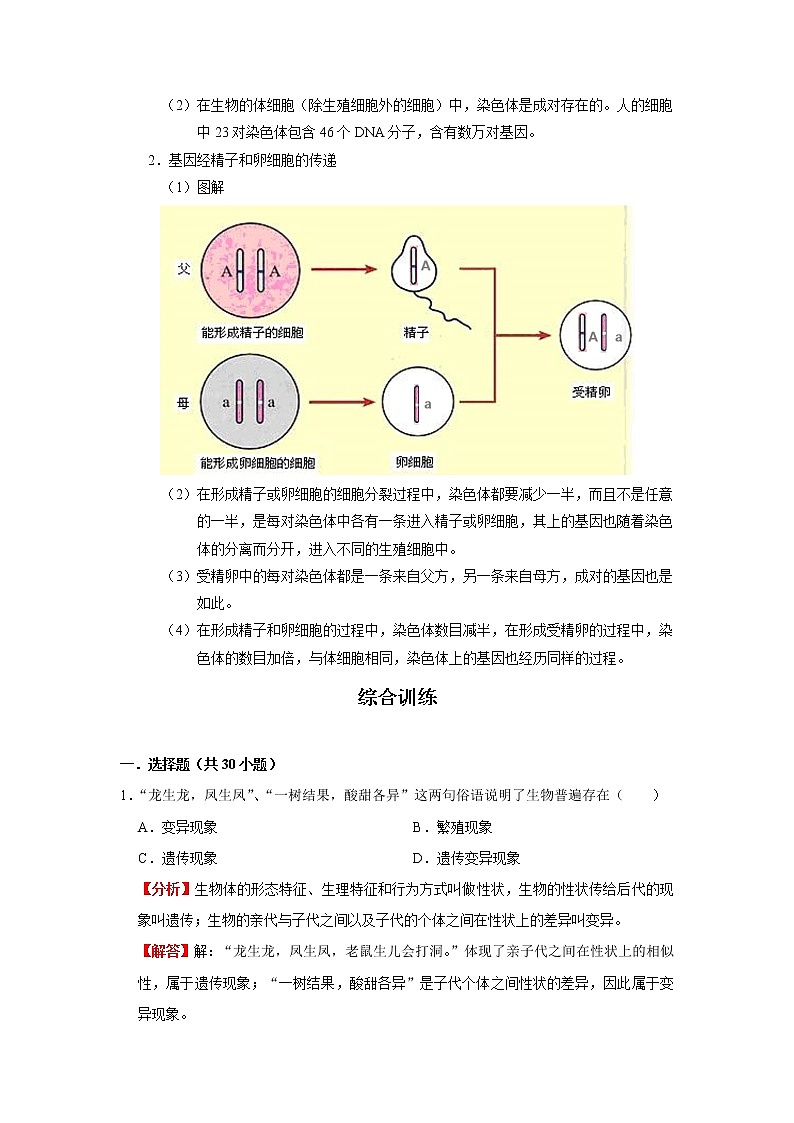 考点40 基因控制生物的性状及基因在亲子代之间的传递（解析版）-2022年生物中考一轮过关讲练（人教版）第2页