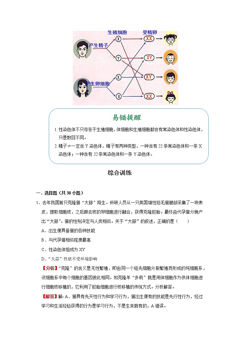 考点42 人的性别遗传（解析版）-2022年生物中考一轮过关讲练（人教版）第2页
