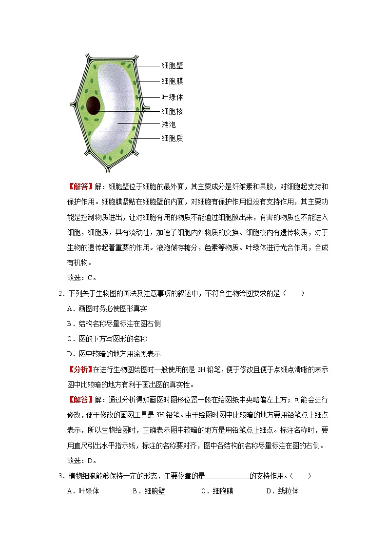 考点05 动植物细胞（解析版）-2022年生物中考一轮复习考点透析（人教版）第2页