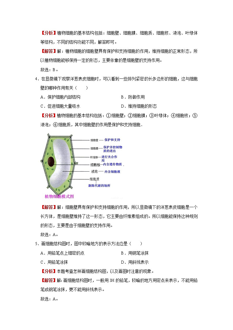 考点05 动植物细胞（解析版）-2022年生物中考一轮复习考点透析（人教版）第3页