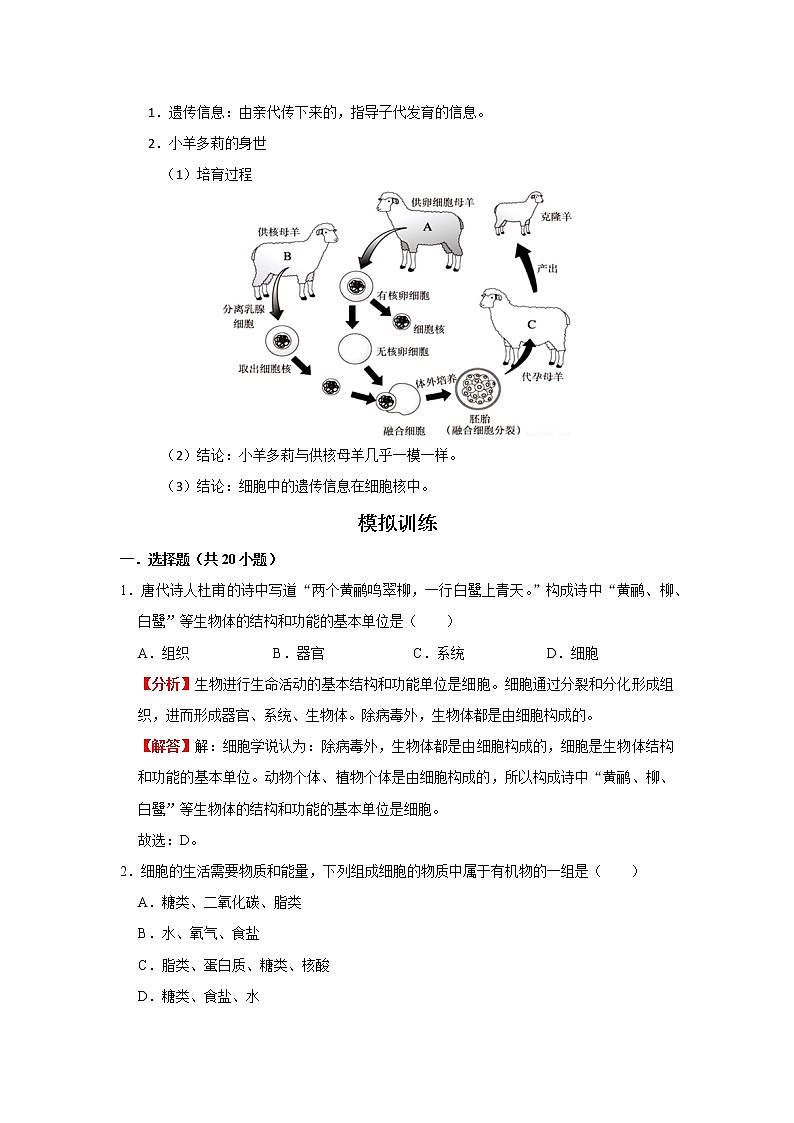 考点06 细胞的生活（解析版）-2022年生物中考一轮复习考点透析（人教版） 试卷02