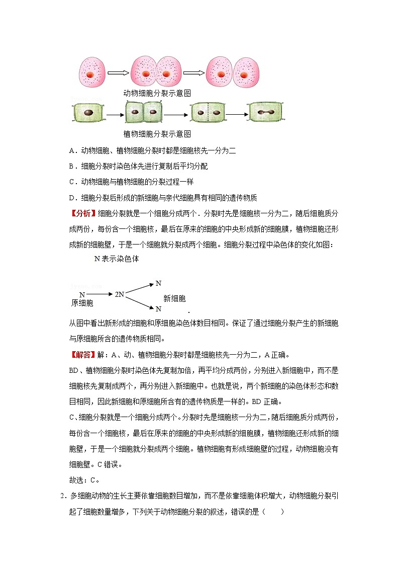 考点07 细胞的生长、分裂和分化（解析版）-2022年生物中考一轮复习考点透析（人教版）第2页