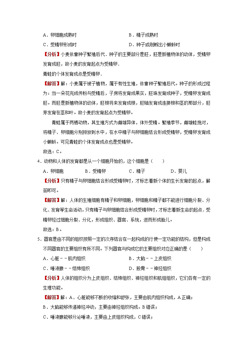 考点08 动植物体的结构层次（解析版）-2022年生物中考一轮复习考点透析（人教版）第3页