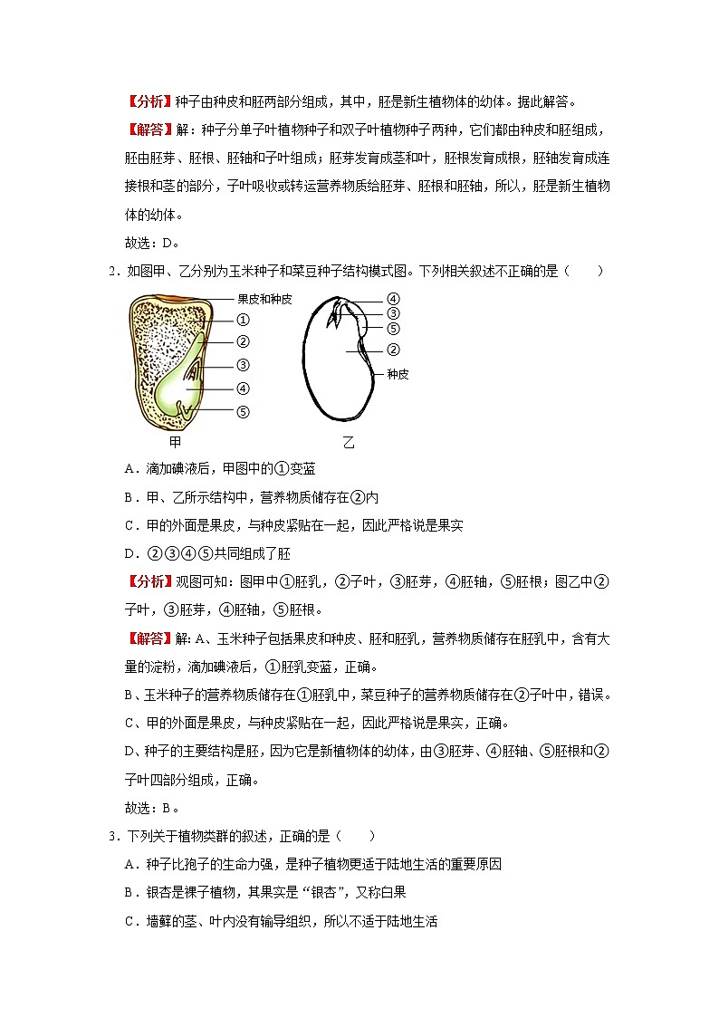 考点11 种子植物（解析版）-2022年生物中考一轮复习考点透析（人教版） 试卷02