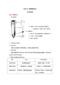 考点13 植株的生长（解析版）-2022年生物中考一轮复习考点透析（人教版）