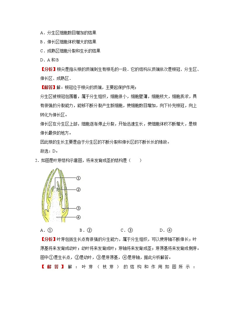 考点13 植株的生长（解析版）-2022年生物中考一轮复习考点透析（人教版）第3页