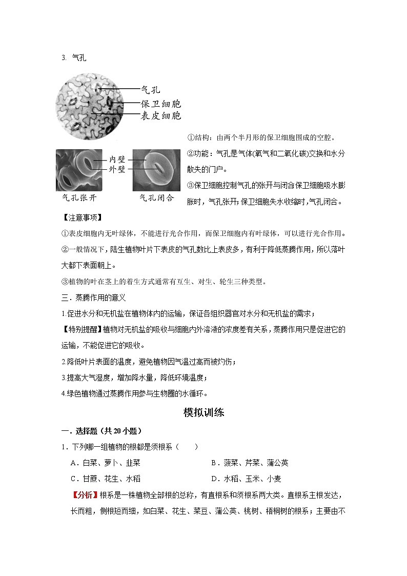考点15 植物的蒸腾作用（解析版）-2022年生物中考一轮复习考点透析（人教版）第2页