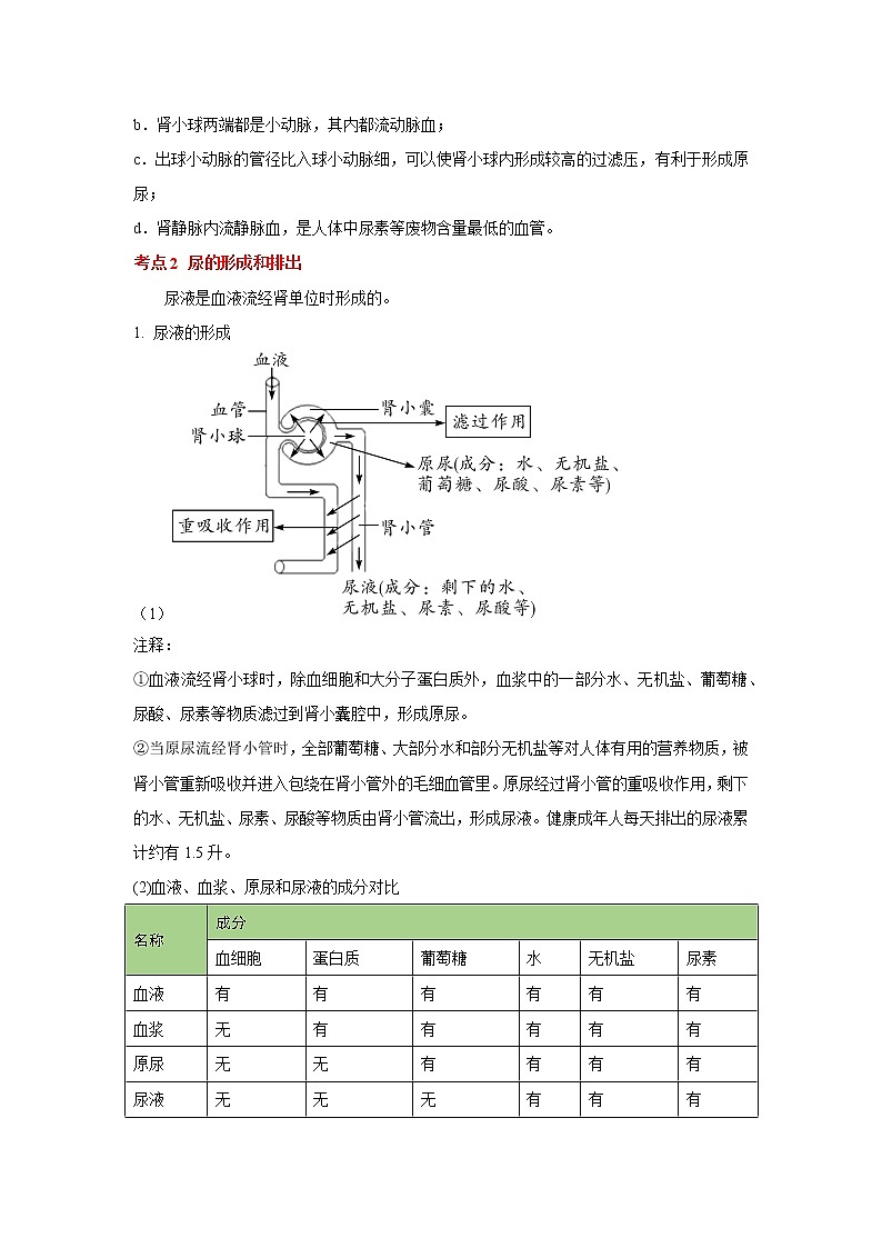 考点25 人体内废物的排出（解析版）-2022年生物中考一轮复习考点透析（人教版）第2页