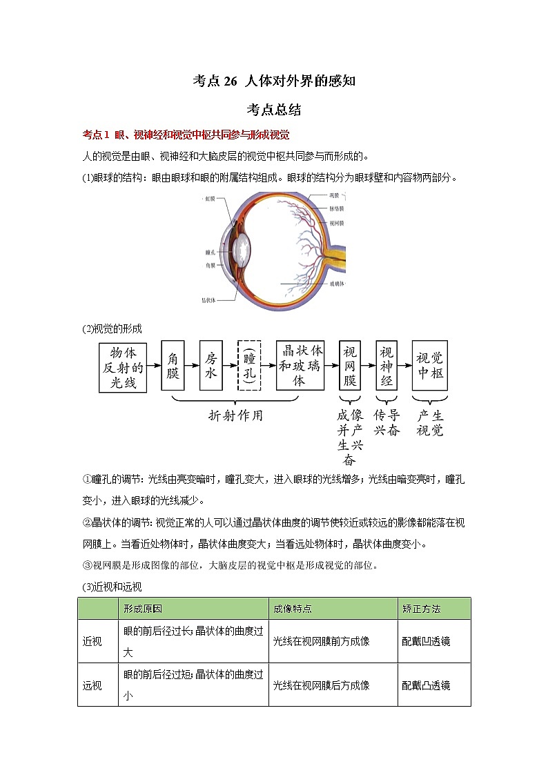 考点26 人体对外界的感知（解析版）-2022年生物中考一轮复习考点透析（人教版）第1页