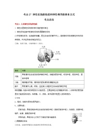 考点27 神经系统的组成和神经调节的基本方式（解析版）-2022年生物中考一轮复习考点透析（人教版）