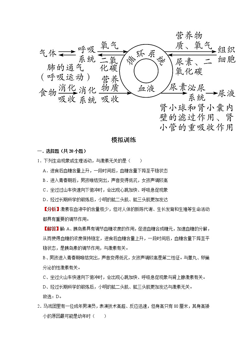 考点28 激素调节（解析版）-2022年生物中考一轮复习考点透析（人教版）第3页