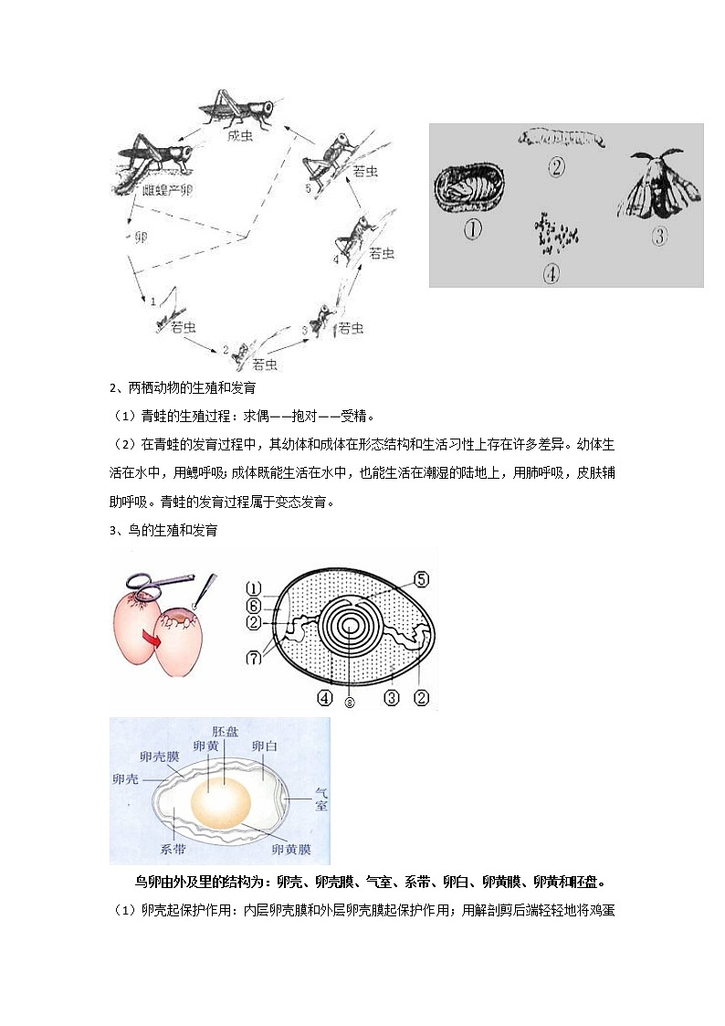 考点37 生物的生殖和发育（解析版）-2022年生物中考一轮复习考点透析（人教版） 试卷02