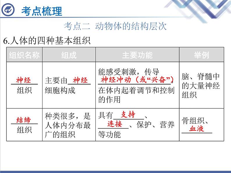 生物中考复习第2章细胞怎样构成生物体PPT课件第5页