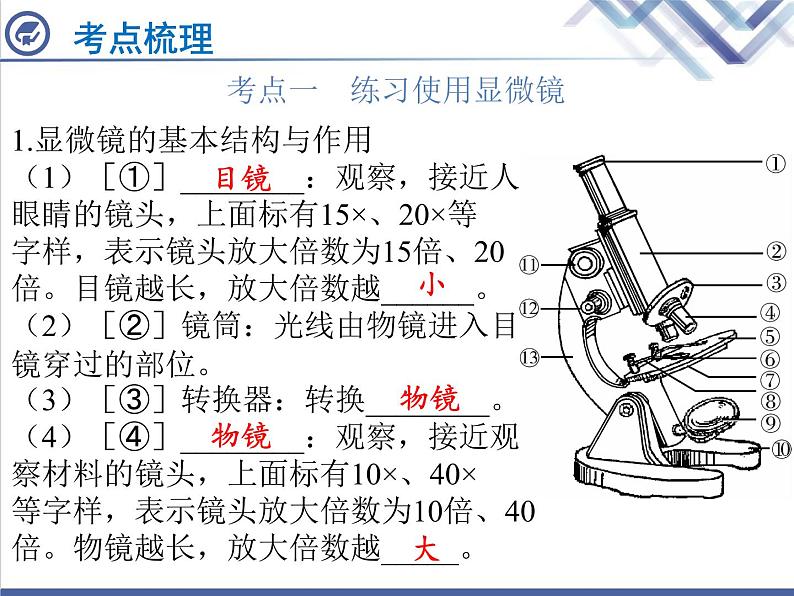 生物中考复习第1章细胞是生命活动的基本单位PPT课件02